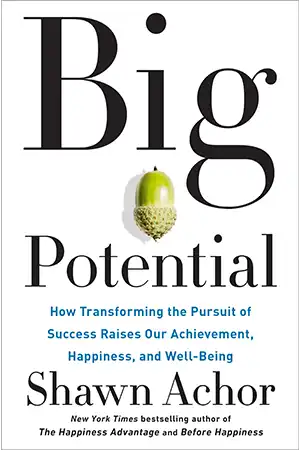Big Potential - How Transforming the Pursuit of Success Raises Our Achievement, Happiness, and Well-Being Book Cover
